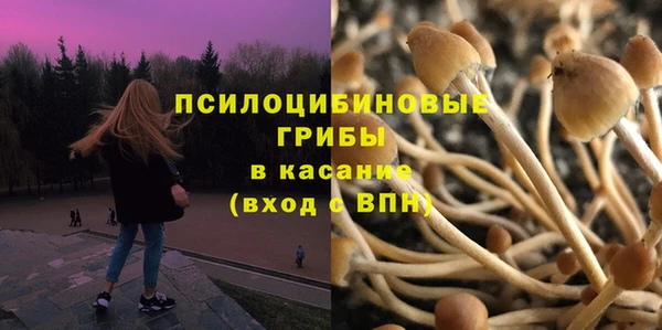 мяу мяу мука Беломорск