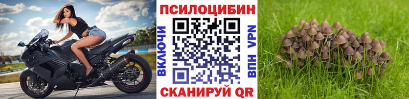 Галлюциногенные грибы прущие грибы  продажа наркотиков  Ленинградская 